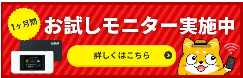 1ヶ月お試しモニターはこちら